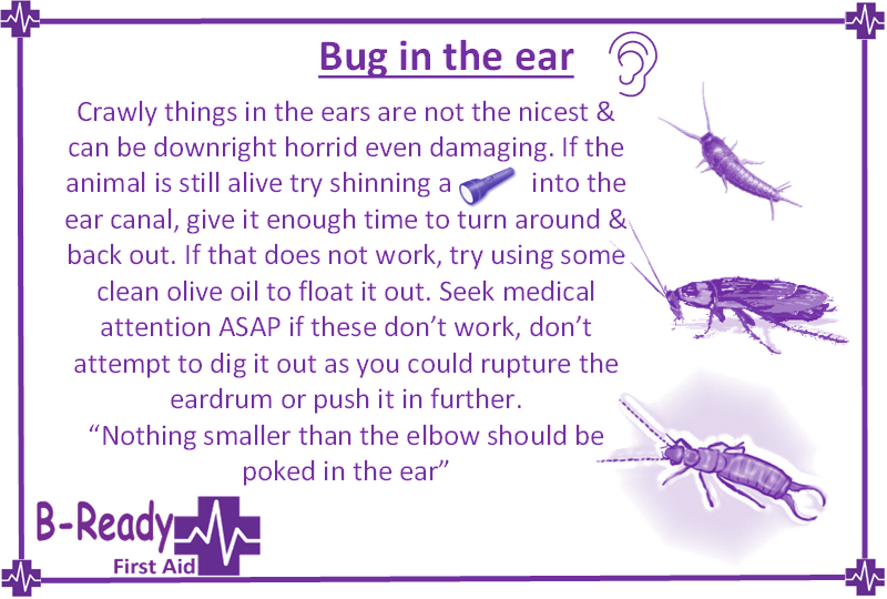 B-Ready First Aid info about insects, bugs in ears