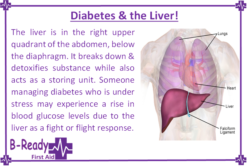 B-Ready First Aid info about Diabetes & the Liver