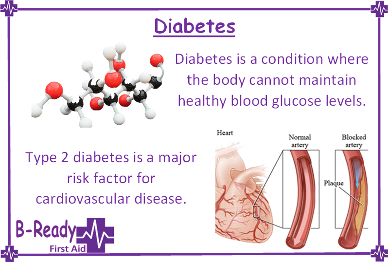 Picture & words explaining. Diabetes is a condition where the body cannot maintain healthy blood glucose levels. Type 2 diabetes is a major risk factor for cardiovascular disease.