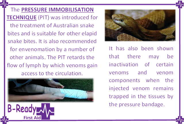 Pressure immobilisation technique is the first aid treatment for all Australian snake bites