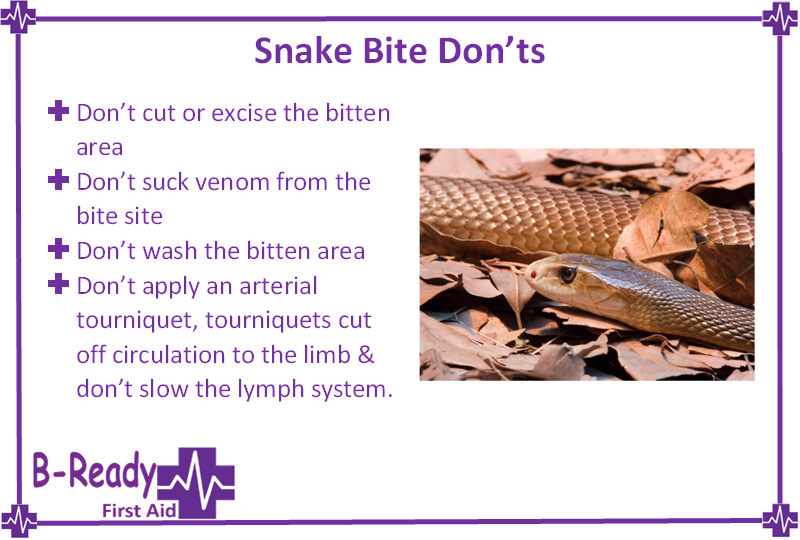 First Aid for Snake bite and what the do not's are by B-Ready First Aid