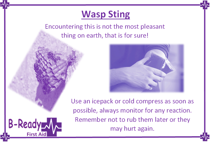B-Ready First Aid info about wasp stings and first aid management